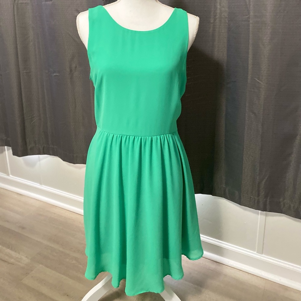 Mint Lush brand mini size L.